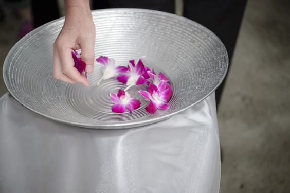 flower-3306954_1920.jpg